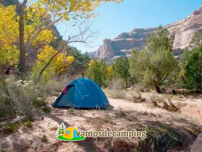 Algunos consejos para un camping ecosostenible parte 2